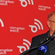 David Lewis, Corruption Watch executive director