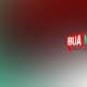 Bua Mzansi logo