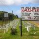 Rhino poaching memorial near St Lucia Estuary, KZN