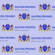 Gauteng Department of Health logo