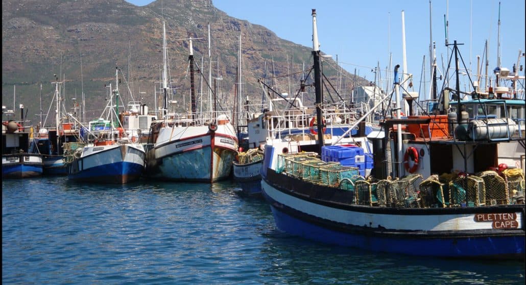 Fishing boats in Hout Bay