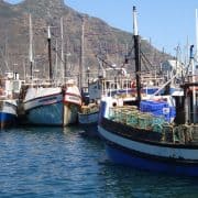 Fishing boats in Hout Bay