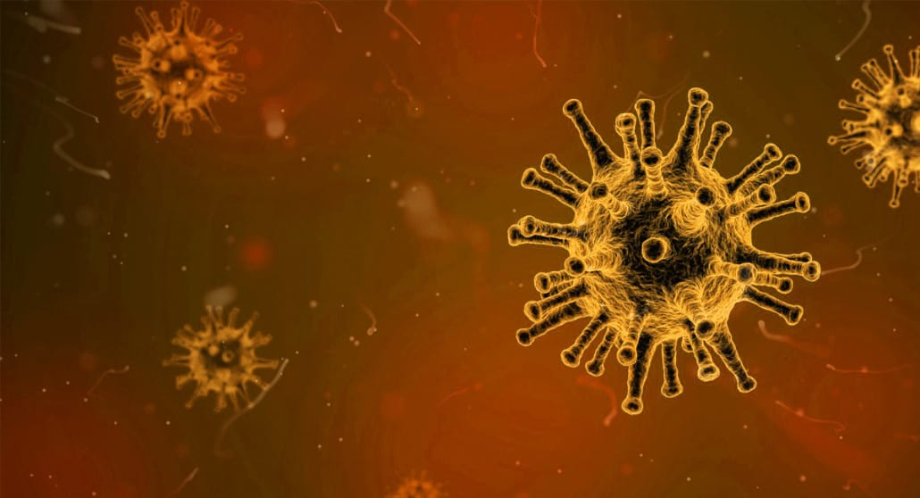 Viruses in the human body