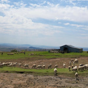 A Southern African farm landscape