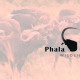 Logo of the Phala Phala game farm