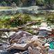 Photo of a river polluted with waste